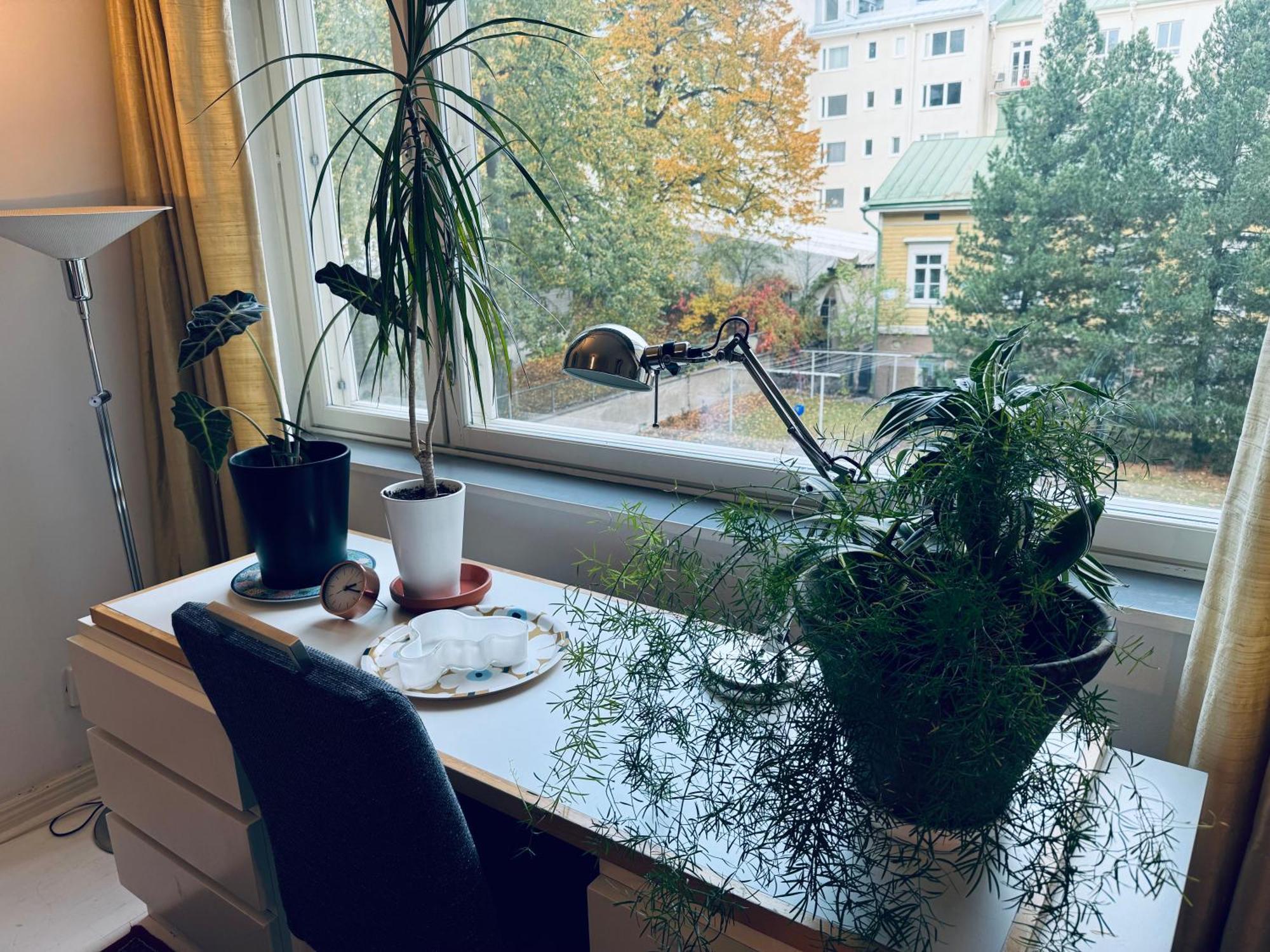 Lovely Apartment, Vuorimiehenkatu 31 Ελσίνκι Εξωτερικό φωτογραφία